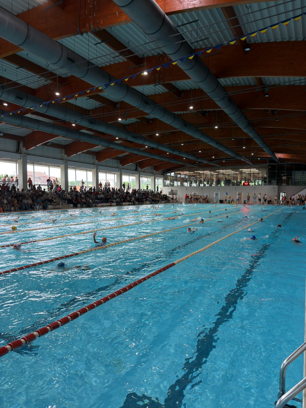 Bazinul olimpic plin la Cupa Arena Aquasport Timișoara